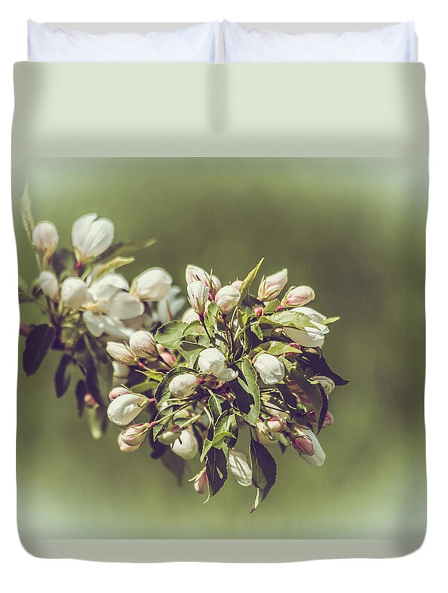 Flowers Duvet Cover featuring the photograph Cherry Blossoms by Yeates Photography