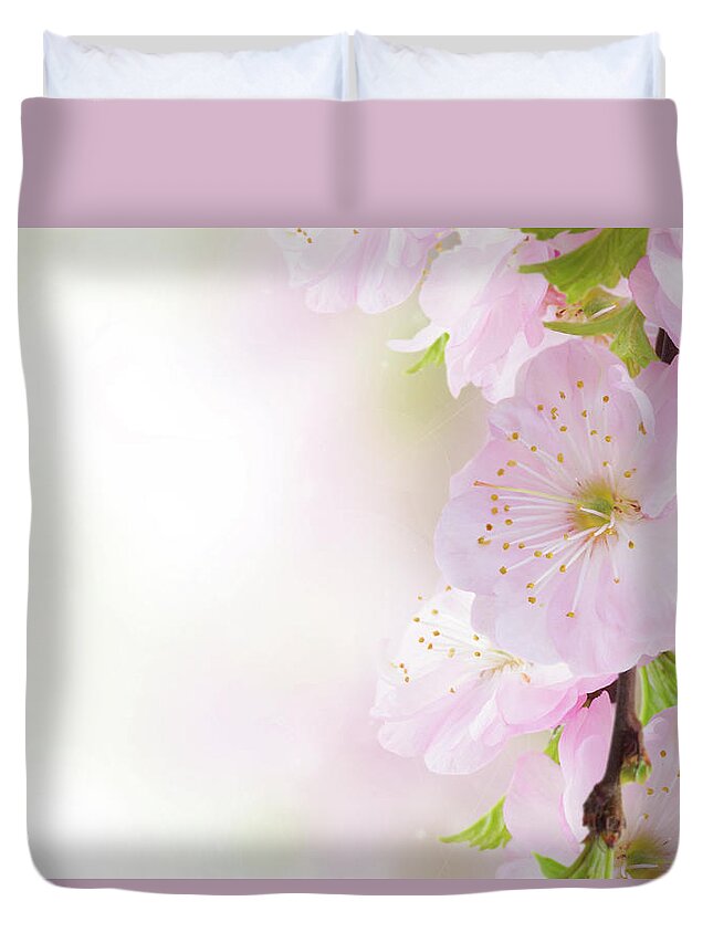 Background Duvet Cover featuring the photograph Cherry Flowers in Garden by Anastasy Yarmolovich
