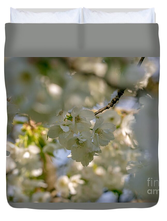 Cherry Blossom Duvet Cover featuring the photograph Cherryblossom in focus by Marc Daly
