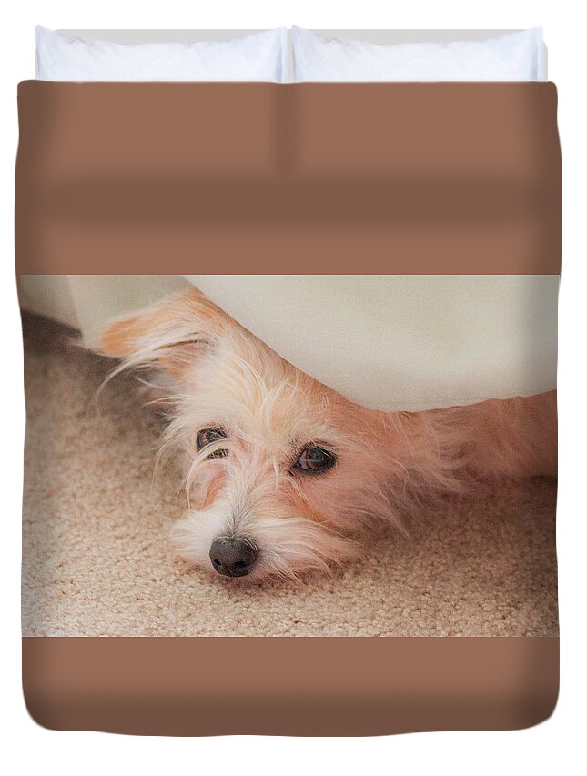 Rescue Dog Duvet Cover featuring the photograph Chica in Hiding by E Faithe Lester