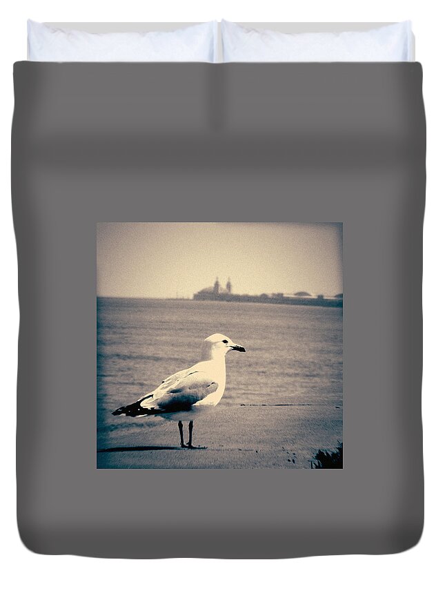 Chicago Duvet Cover featuring the photograph Chicago Seagull by Kyle Hanson