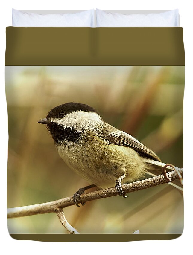 Bird Duvet Cover featuring the photograph Chickadee by Loni Collins