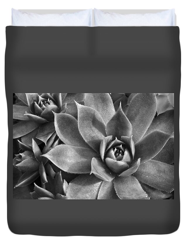 Botanical Duvet Cover featuring the photograph Chicks and Hens Black and White by Ann Bridges