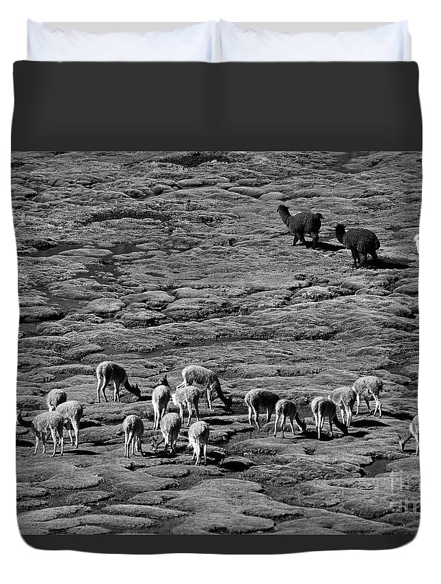 Chile Duvet Cover featuring the photograph Chile_10-17 by Craig Lovell