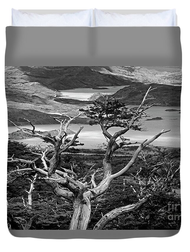 Black And White Duvet Cover featuring the photograph Chile_115-6 by Craig Lovell