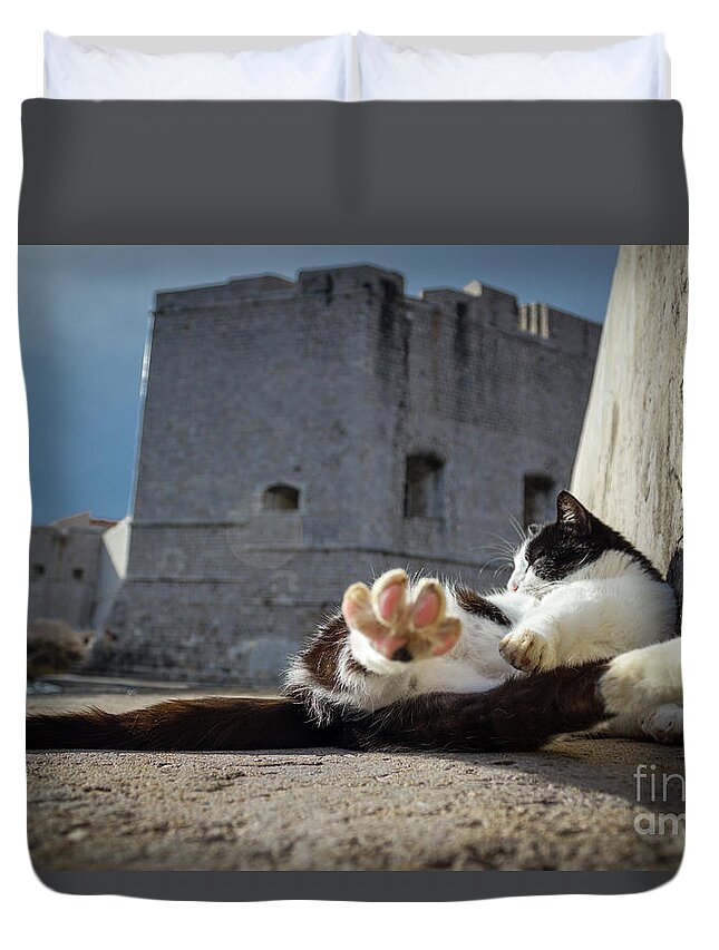Cat Duvet Cover featuring the photograph Chill Kitty of Dubrovnik by Becqi Sherman