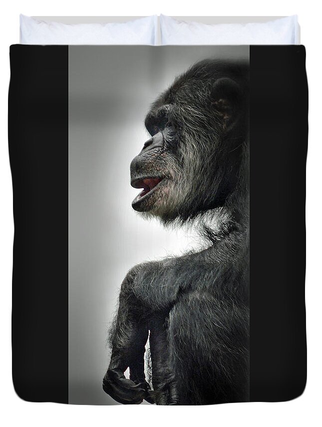 Chimpanzee With A Treat In His Mouth Duvet Cover featuring the photograph Chimpanzee Profile Vignetee Effect by Jim Fitzpatrick