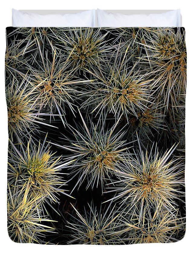 Landscape Duvet Cover featuring the photograph Cholla Cactus Cluster by Paul Breitkreuz