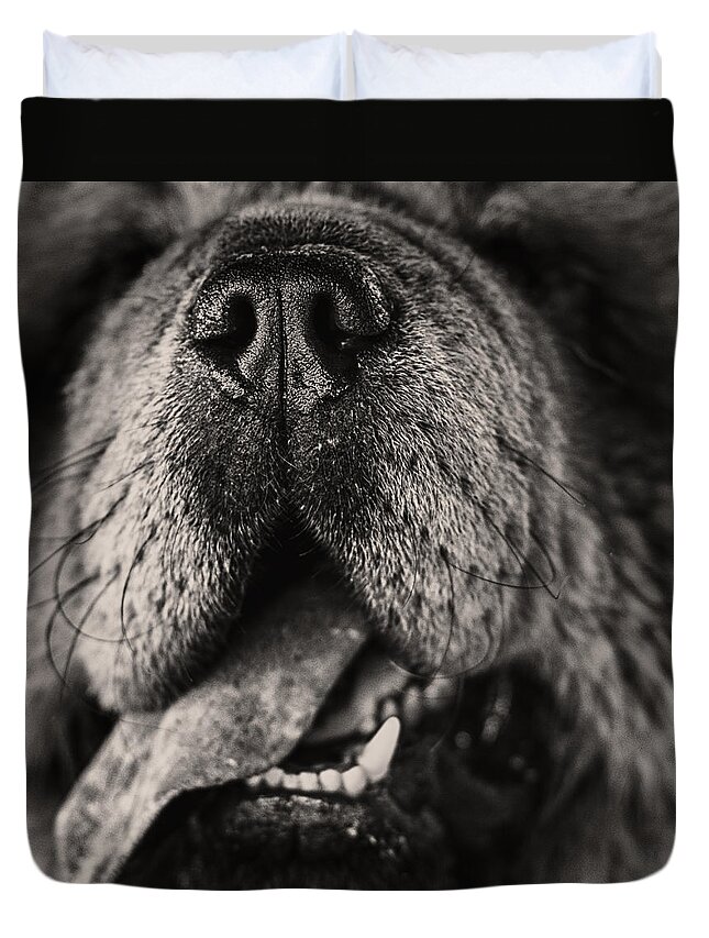 Animal Duvet Cover featuring the photograph Chow Chow by Stelios Kleanthous