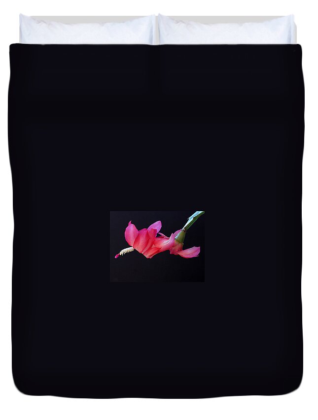 Christmas Duvet Cover featuring the photograph Christmas Cactus on Black by Farol Tomson