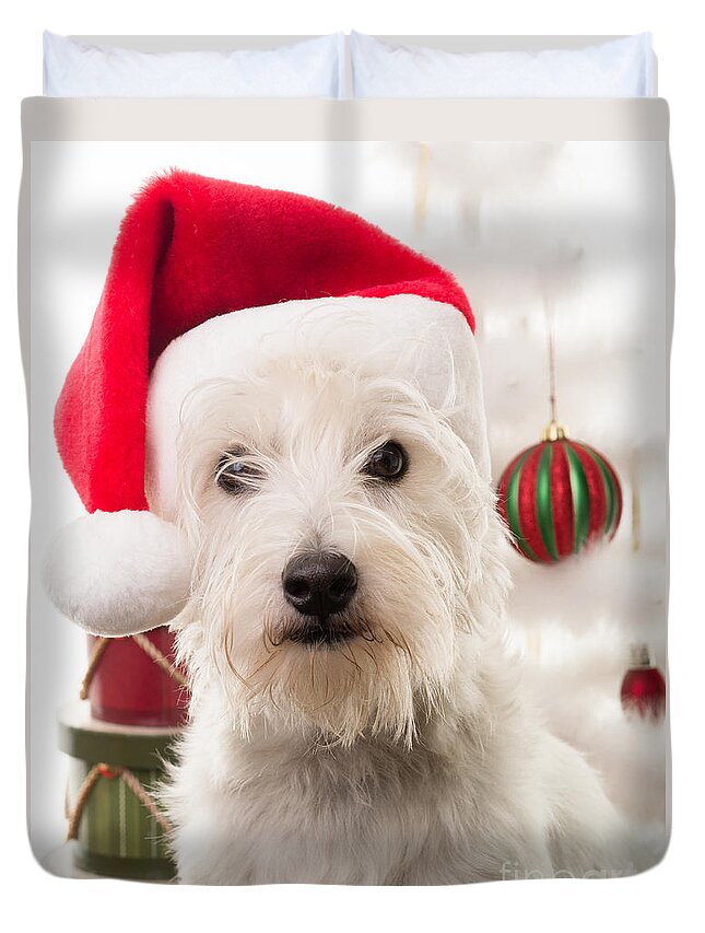 Christmas Duvet Cover featuring the photograph Christmas Elf Dog by Edward Fielding