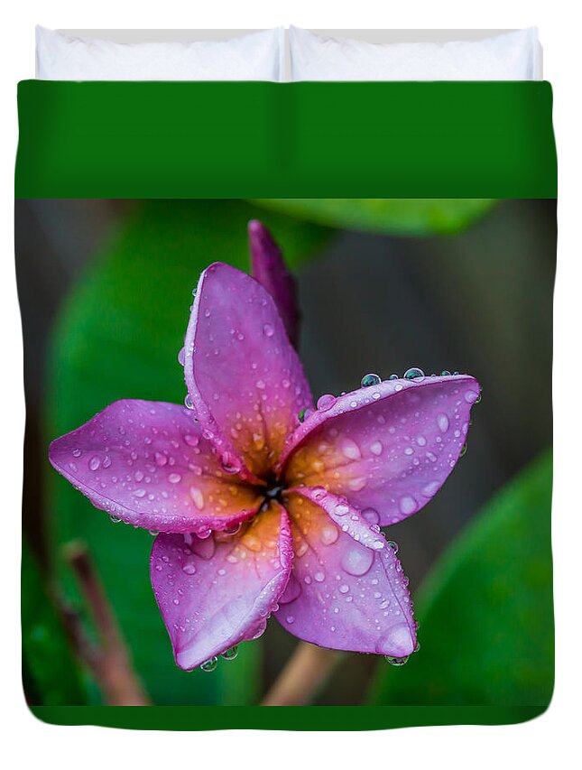Flower Duvet Cover featuring the photograph Raindrops #2 by Keith Hawley