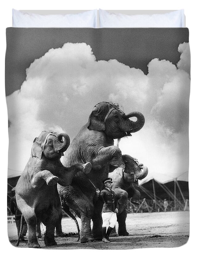 1930s Duvet Cover featuring the photograph Circus Trainer With Elephants, C.1930s by H. Armstrong Roberts/ClassicStock