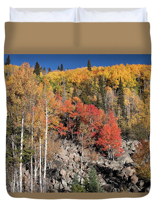 Fall Colors Duvet Cover featuring the photograph Clash of Fall Colors by Tony Hake