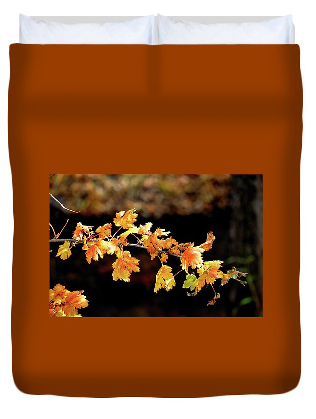 Autumn Duvet Cover featuring the photograph Classic Colors by Ron Cline