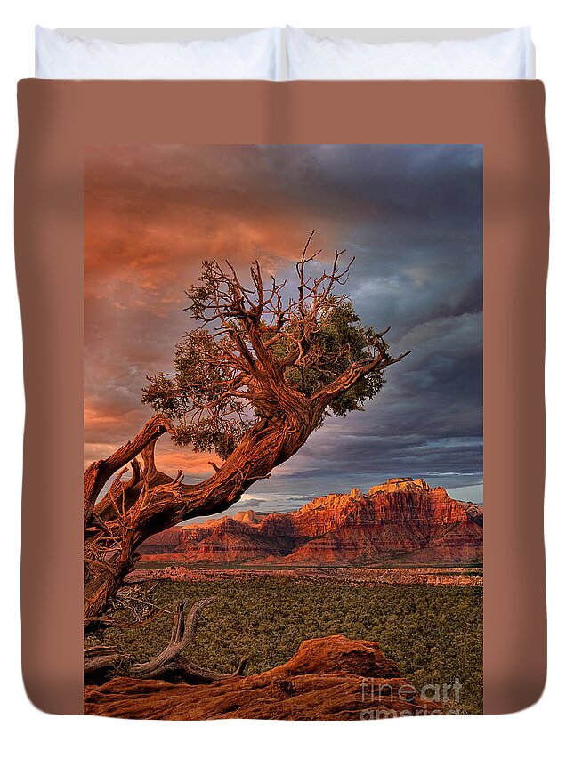 Dave Welling Duvet Cover featuring the photograph Clearing Storm And West Temple South Of Zion National Park by Dave Welling