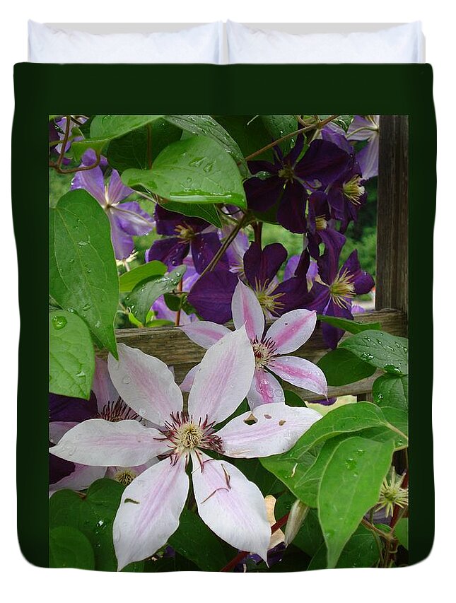 Clematis Duvet Cover featuring the photograph Clematis-II by Patricia Overmoyer