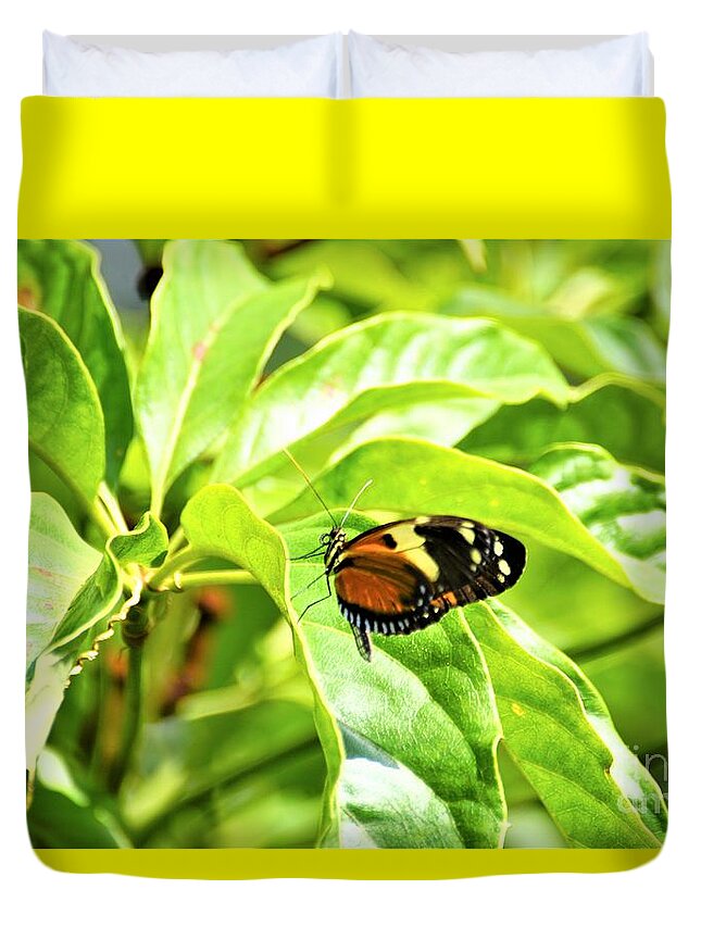 Cleveland Ohio Butterfly Duvet Cover featuring the photograph Cleveland Butterflies3 by Merle Grenz