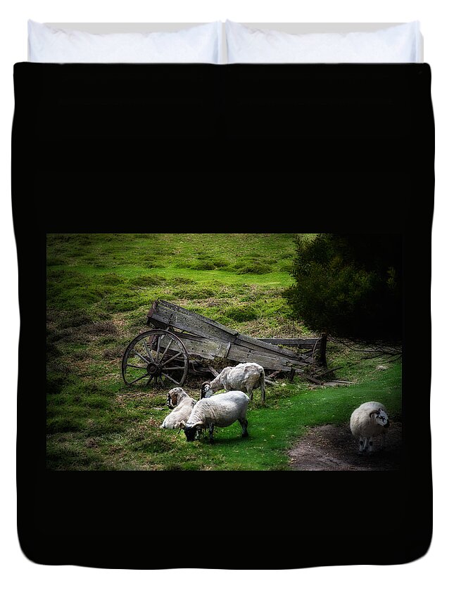 California Duvet Cover featuring the photograph Clint's Sheep by Patrick Boening