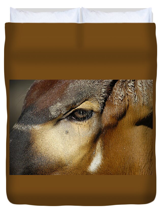 Memphis Zoo Duvet Cover featuring the photograph Close Encounter by DArcy Evans