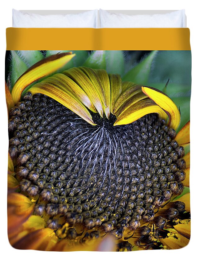 Sunflowers Duvet Cover featuring the photograph Close To Summer by Robert Fawcett