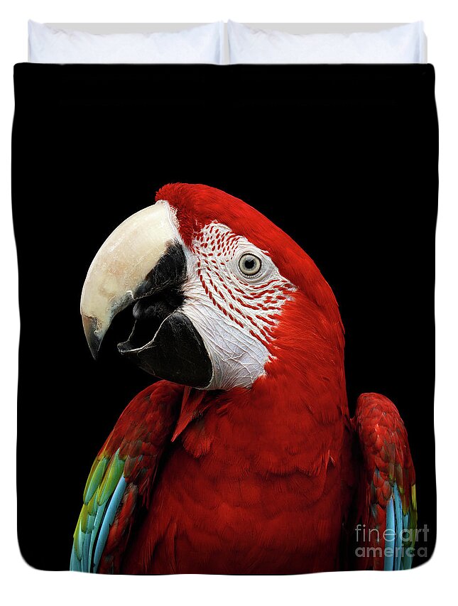 Parrot Head Duvet Covers