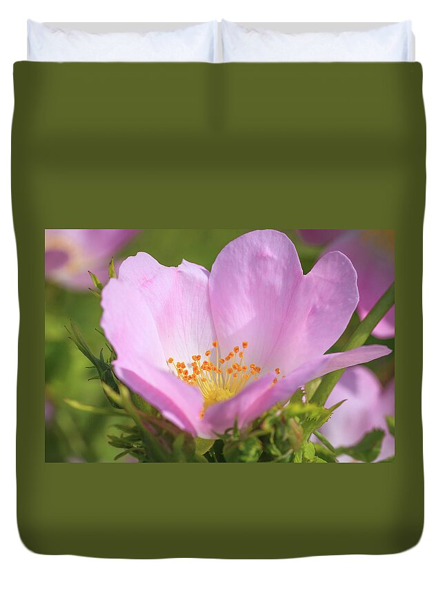 Flower Duvet Cover featuring the photograph Close-up of a Dog Rose by Tim Abeln