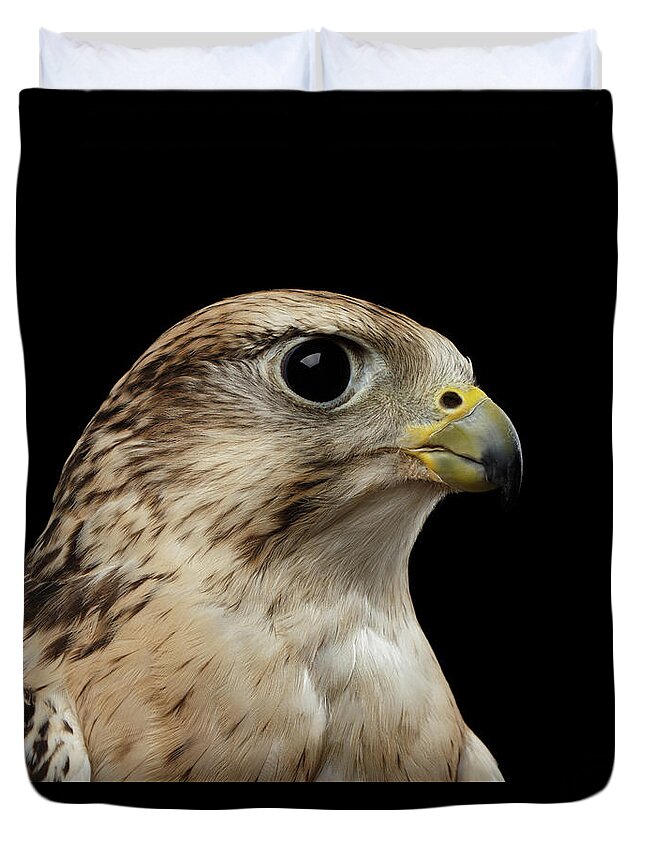 Bird Duvet Cover featuring the photograph Close-up Saker Falcon, Falco cherrug, isolated on Black background by Sergey Taran