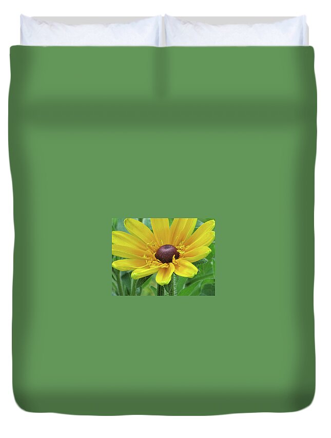 Flowers Duvet Cover featuring the photograph Close Up Summer Daisy by Michele Wilson