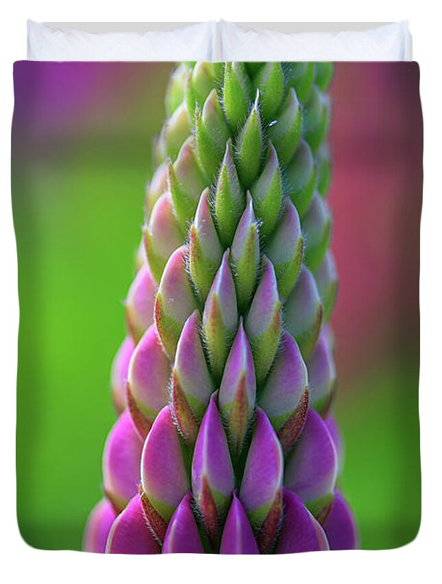Lupine Duvet Cover featuring the photograph Closeup of a Pink Lupine by Rick Berk