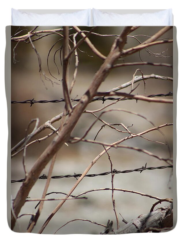 Golden Duvet Cover featuring the photograph Closeup of Dried Branches against Barbed Wire Fence by Colleen Cornelius