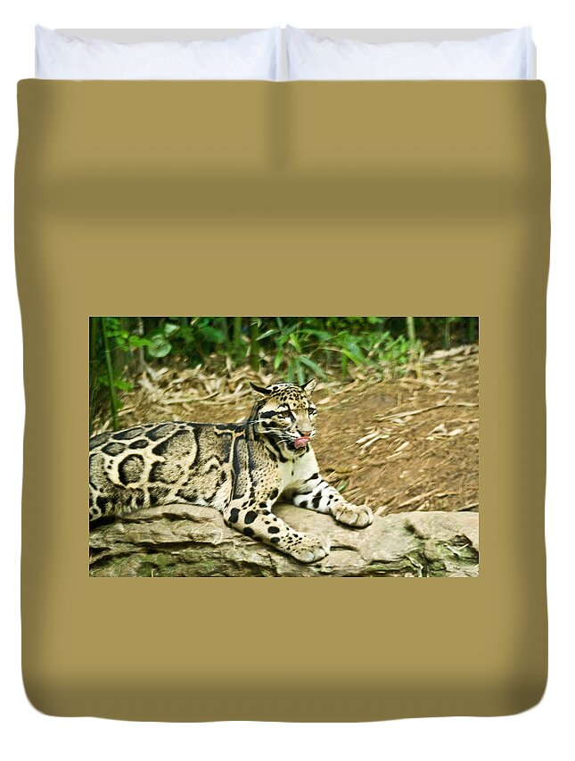 Clouded Duvet Cover featuring the photograph Clouded Leopard 1 by Douglas Barnett