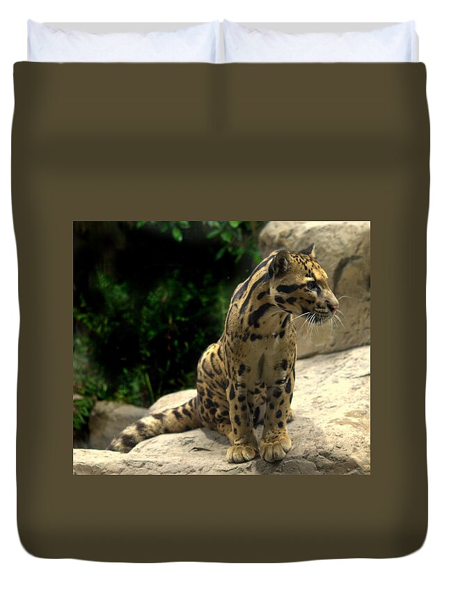 Feline Duvet Cover featuring the photograph Clouded Leopard Neofelis nebulosa by Nathan Abbott