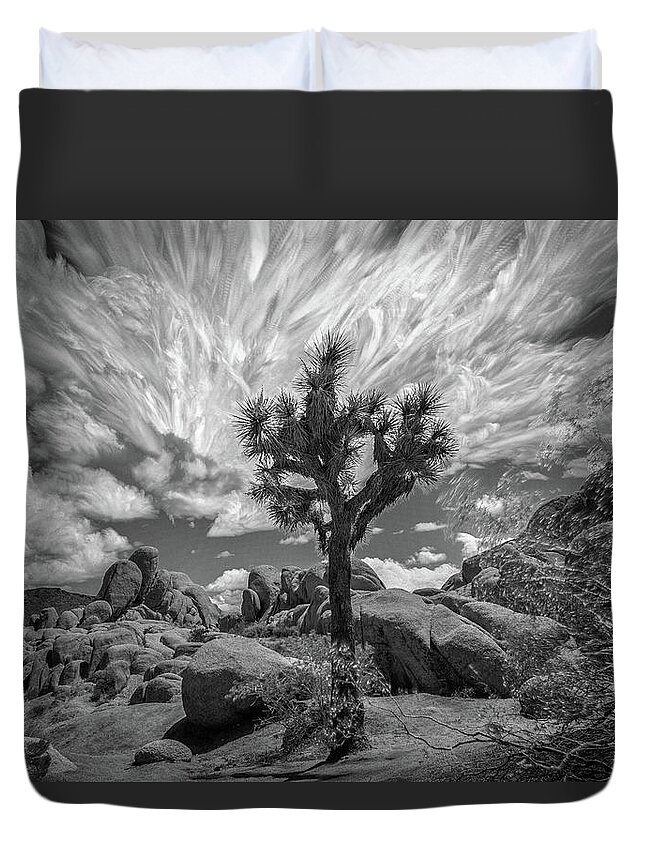 Desert Duvet Cover featuring the photograph Cloudscapes 3 by Ryan Weddle