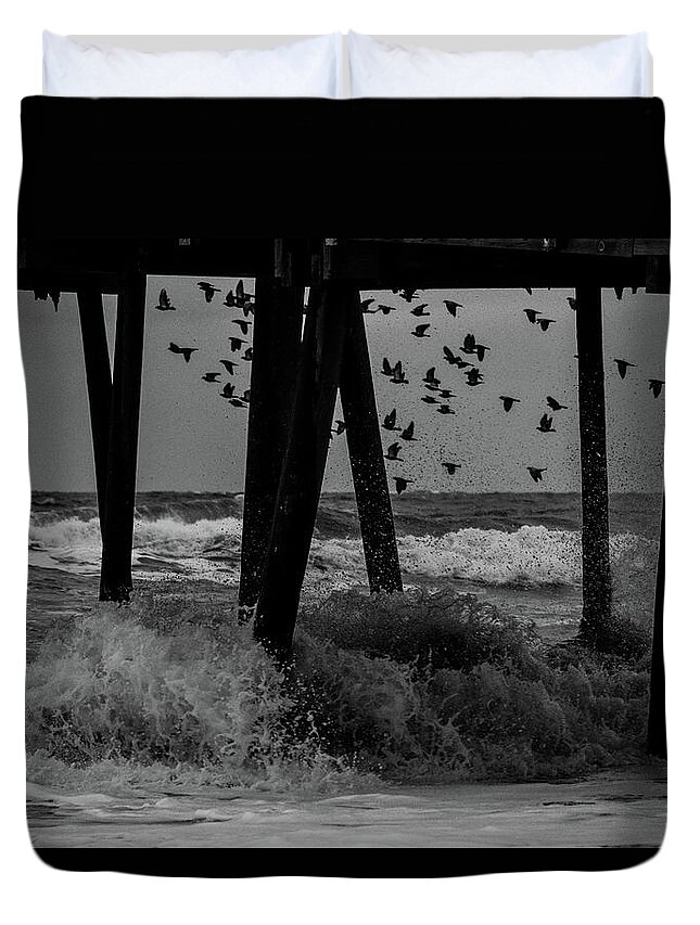 Bird Duvet Cover featuring the photograph Coastal Movements by Nicole Lloyd