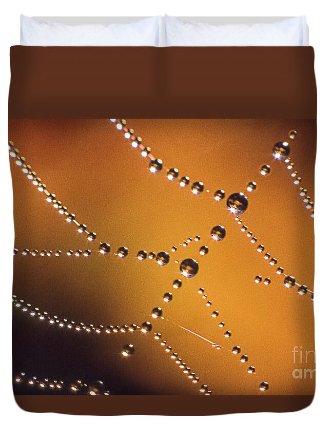 Dew Duvet Cover featuring the photograph Cobweb with Dew Drops by Heiko Koehrer-Wagner