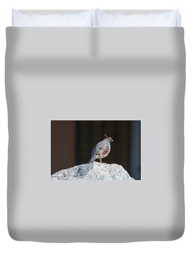 Tucson Duvet Cover featuring the photograph Cock of the Rock by Dan McManus