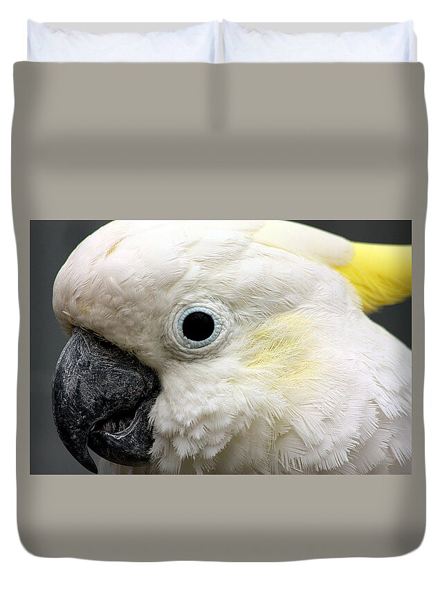 Nature Duvet Cover featuring the photograph Cockatoo Close Up by Sheila Brown