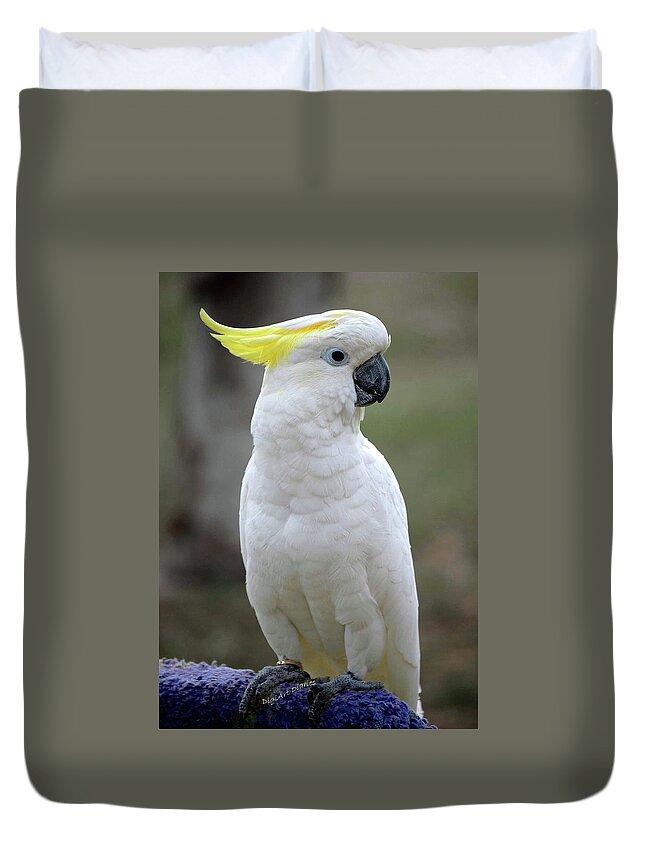 Cockatoo Duvet Cover featuring the photograph Cocky-too by DigiArt Diaries by Vicky B Fuller