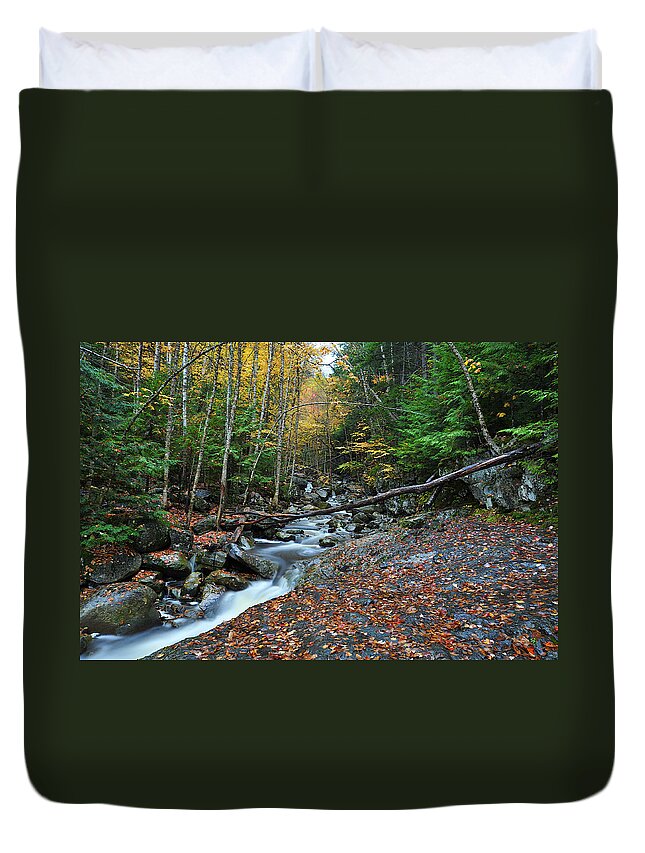 Photograph Duvet Cover featuring the photograph Coffee and Cream by Richard Gehlbach