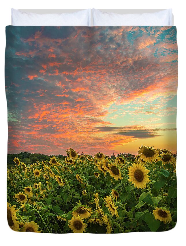  Duvet Cover featuring the photograph Colby Farm sunflowers by Bryan Xavier