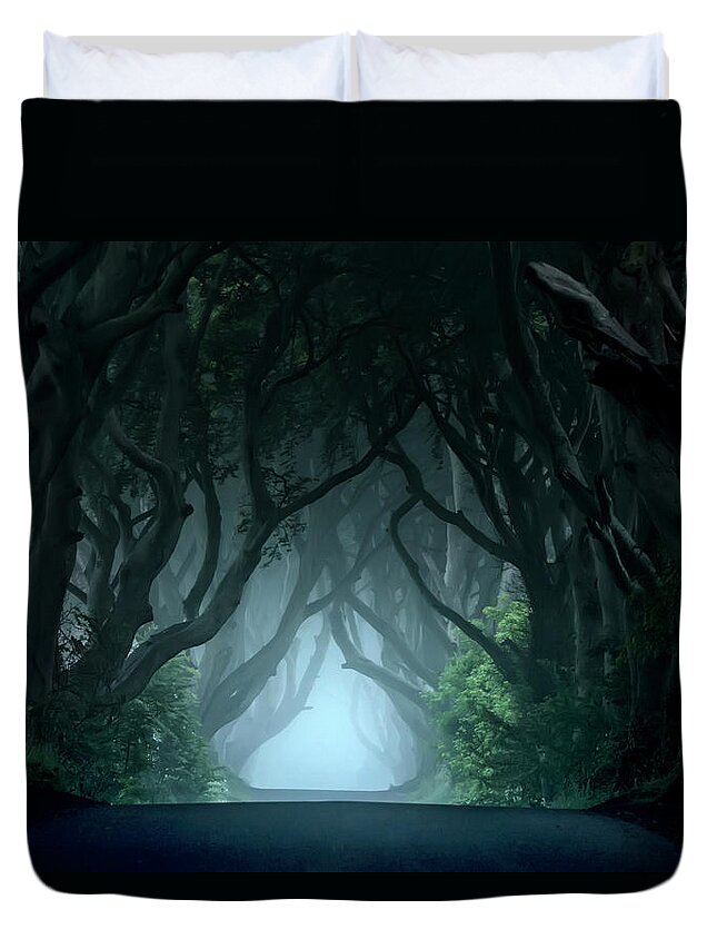Ireland Duvet Cover featuring the photograph Cold and blue morning at Dark hedges by Jaroslaw Blaminsky