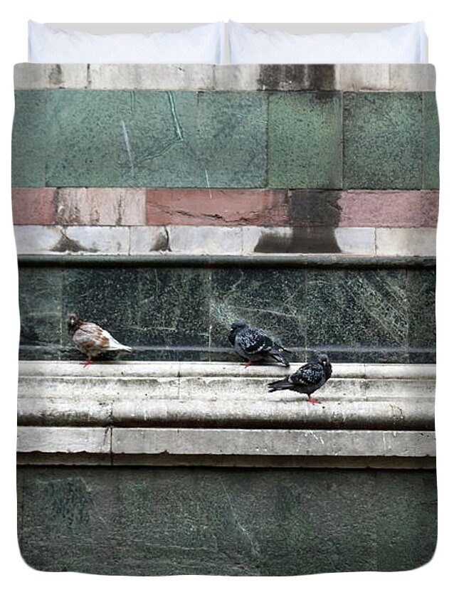 Pidgeon Duvet Cover featuring the photograph Cold Day in Florence by Laura Davis