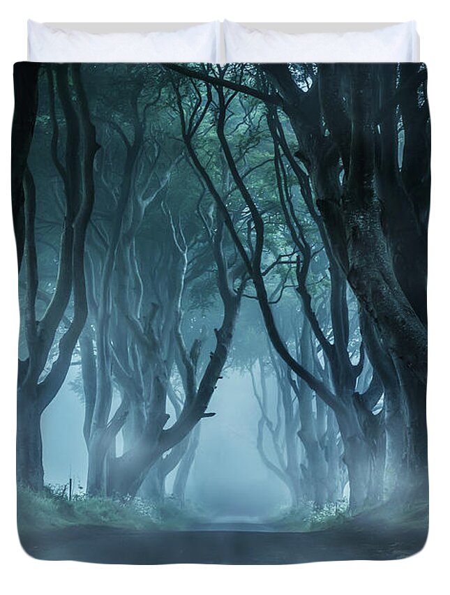 Dark Hedges In Northern Ireland Duvet Cover featuring the photograph Cold morning in northern Ireland by Jaroslaw Blaminsky