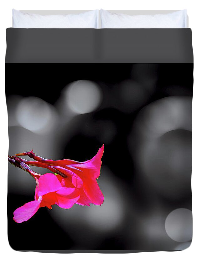 Flower Duvet Cover featuring the photograph Color by Fuchsia by Joseph Hollingsworth