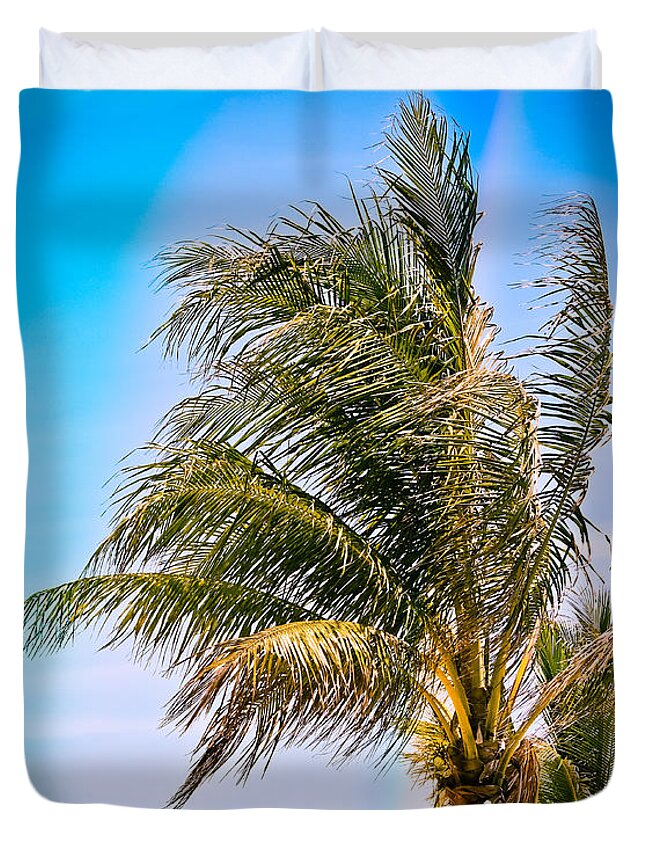 Palm Trees Duvet Cover featuring the photograph Color Drenched Palm Trees by Colleen Kammerer