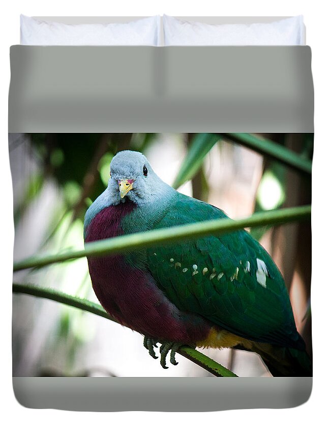 Wild Birds Duvet Cover featuring the photograph Color me Plump by Aaron Potts