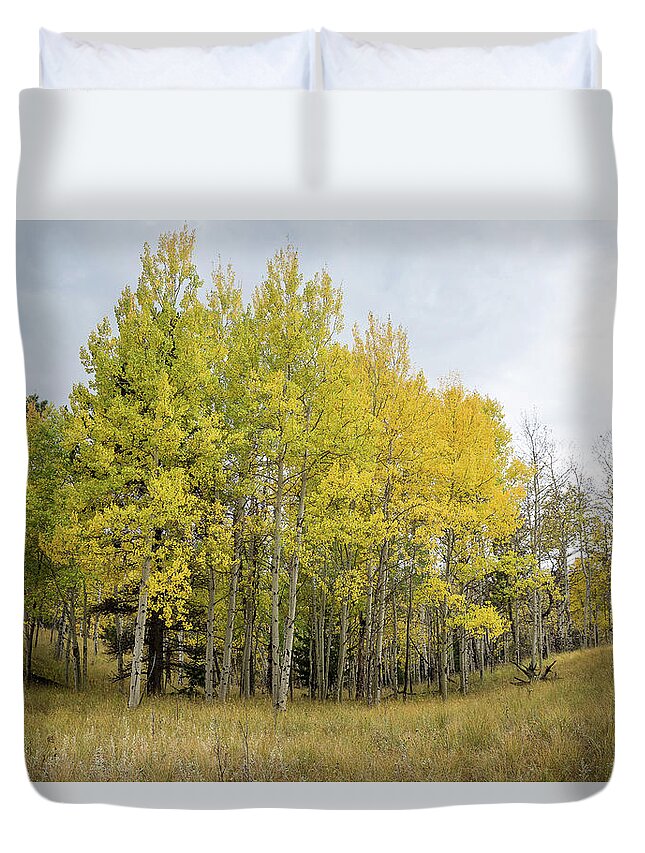 Colorado Duvet Cover featuring the photograph Colorado Aspens in Autumn by Tim Newton