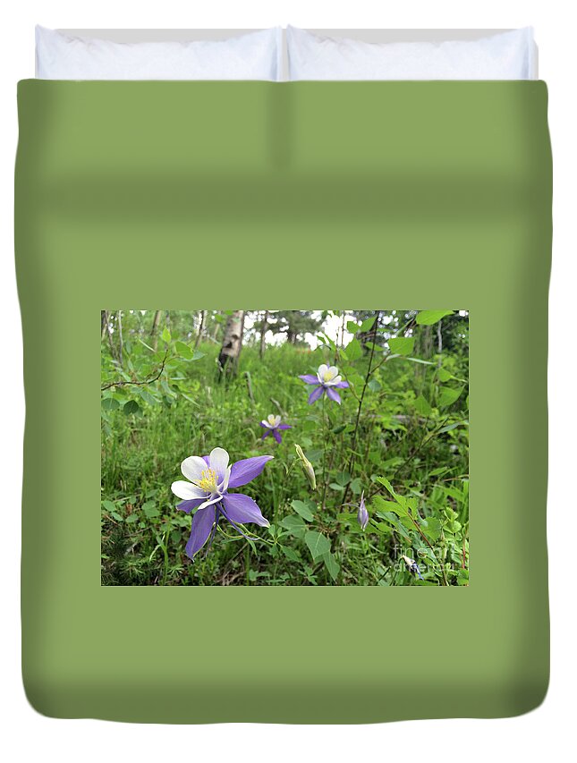 Columbine Duvet Cover featuring the photograph Colorado Columbine on Pikes Peak by Adam Long