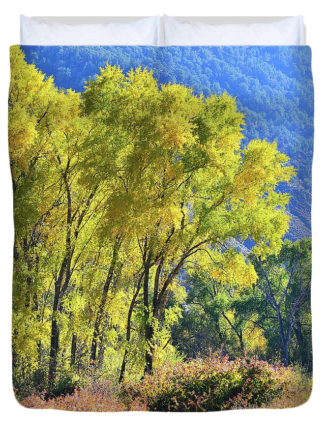 Colorado Duvet Cover featuring the photograph Colorado River Fall Colors by Ray Mathis